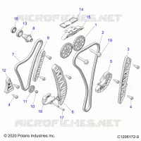 ENGINE, TIMING AND OIL CATENA DRIVES