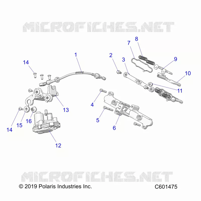 ENGINE, VALVOLA SCARICO ASM. AND ACTUATOR -S24TKP8RS (C601475)