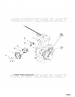 ENGINE, CORPO FARFALLATO AND FUEL RAIL