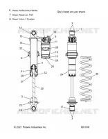 SHOCK, IFS (7045870)