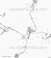 LINEE FRENO, FRONT