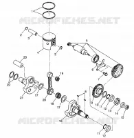 PISTONEEE   ALBERO MOTORE SPORTSMAN 400L W97AC38C (4939673967C014)