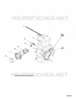 ENGINE, CORPO FARFALLATO AND FUEL RAIL