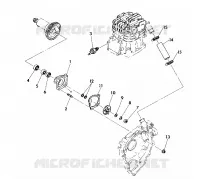 POMPA DELL'ACQUA ASSEMBLY 350 4X4 / W928139 (4922832283040A)