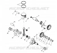 PISTONEEE   ALBERO MOTORE  4X4 400L W948140 (4926772677C013)