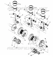 PISTONEEE   ALBERO MOTORE RXL TOURING 0950869 (4928982898C012)