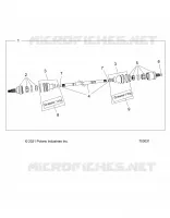 DRIVE TRAIN, HALF POSTERIORE ALBERO