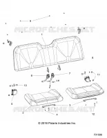 SEDE AND BELTS