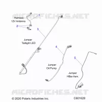 ELETTRICO, JUMPER WIRES