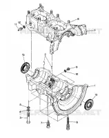 CARTER Trail (4914161416026A)