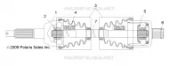 TRASMISSIONE, POSTERIORE ALBERO