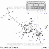 ELETTRICO, HARNESS