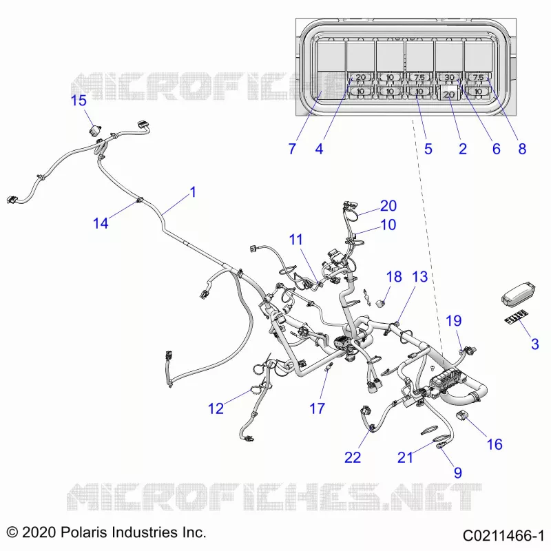 ELETTRICO, HARNESS