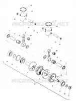 PISTON AND ALBERO MOTORE (TRAIL) (4909500950033A)