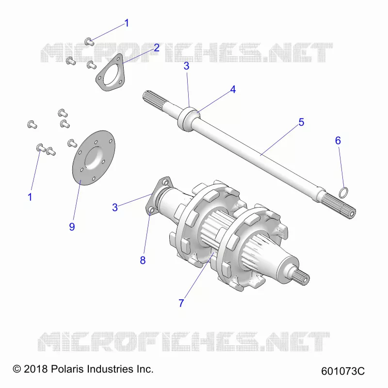 DRIVE TRAIN, JACKSHAFT AND ALBERO DI TRASMISSIONE