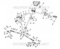 TIMONE (4909520952006A)