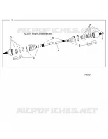 DRIVE TRAIN, POSTERIORE ALBERO