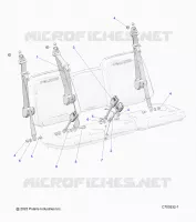 SEDE BELT AND MOUNTING