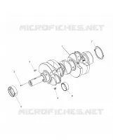 ENGINE, ALBERO MOTORE
