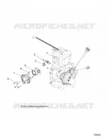 ENGINE, CORPO FARFALLATO AND FUEL RAIL