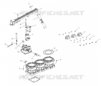 COLLETTORE/IGNITION