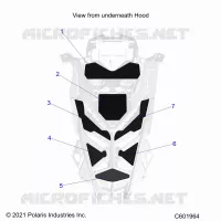 CAPPUCCIO FOAM/SEAL
