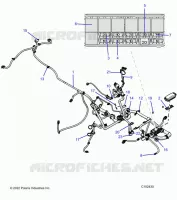 ELETTRICO, HARNESS