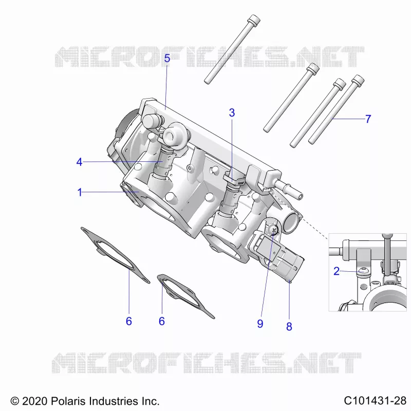 ENGINE, CORPO FARFALLATO