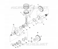 ALBERO MOTORE AND PISTONEE