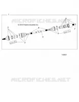 DRIVE TRAIN, POSTERIORE DRIVE SHAFT