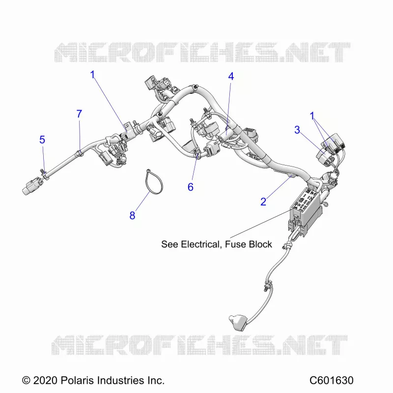 ELETTRICO, WIRE HARNESS, MAIN