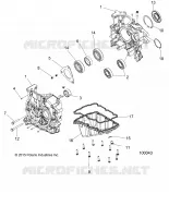 CARTER