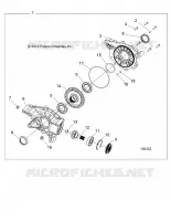 TRASMISSIONE, REAR GEARCASE INTERNALS