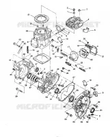 CARTER AND CILINDRO 2X4 350L W937539 (4924032403031A)