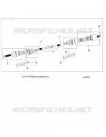 DRIVE TRAIN, ANTERIORE ALBERO