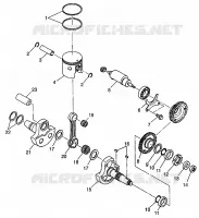 PISTONEEE   ALBERO MOTORE (400L) XPRESS 400L W97CA38C (4939603960D008)