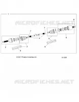 DRIVE TRAIN, ANTERIORE ALBERO