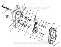 carter della catena ASSEMBLY 500 EFI 0942774 and EFI SKS 0942574 (4924982498016A)