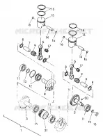 PISTONEEE   ALBERO MOTORE  440 XCR (4921352135037A)