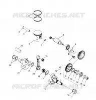PISTONEEE   ALBERO MOTORE SCRAMBLER W957840 (4927252725C012)