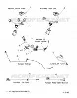 ELECTRICAL, JUMPERS/CABLAGGIO
