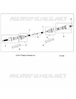 DRIVE TRAIN, ANTERIORE ALBERO