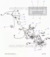 ELETTRICO, HARNESS