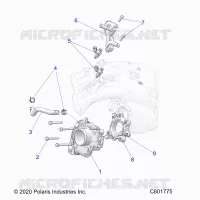 SISTEMA DI ALIMENTAZIONE CARBURANTE, THROTTLE BODY/FUEL RAIL
