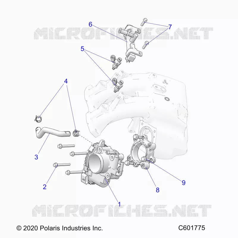 SISTEMA DI ALIMENTAZIONE CARBURANTE, THROTTLE BODY/FUEL RAIL