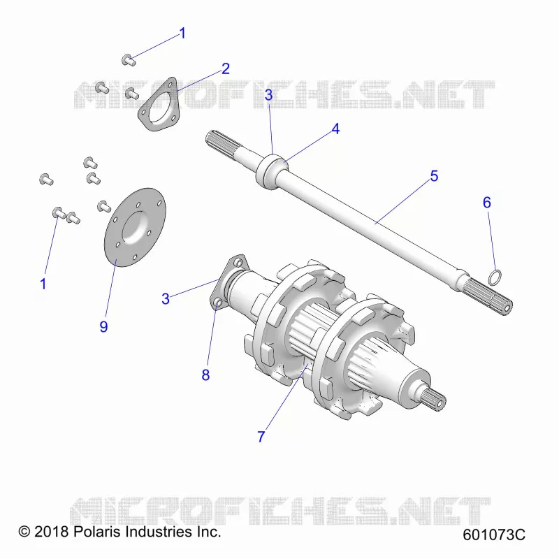 DRIVE TRAIN, JACKSHAFT AND ALBERO DI TRASMISSIONE