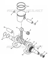 ALBERO MOTORE AND PISTONEE XPRESS 300 W98CA28C (4945364536C011)