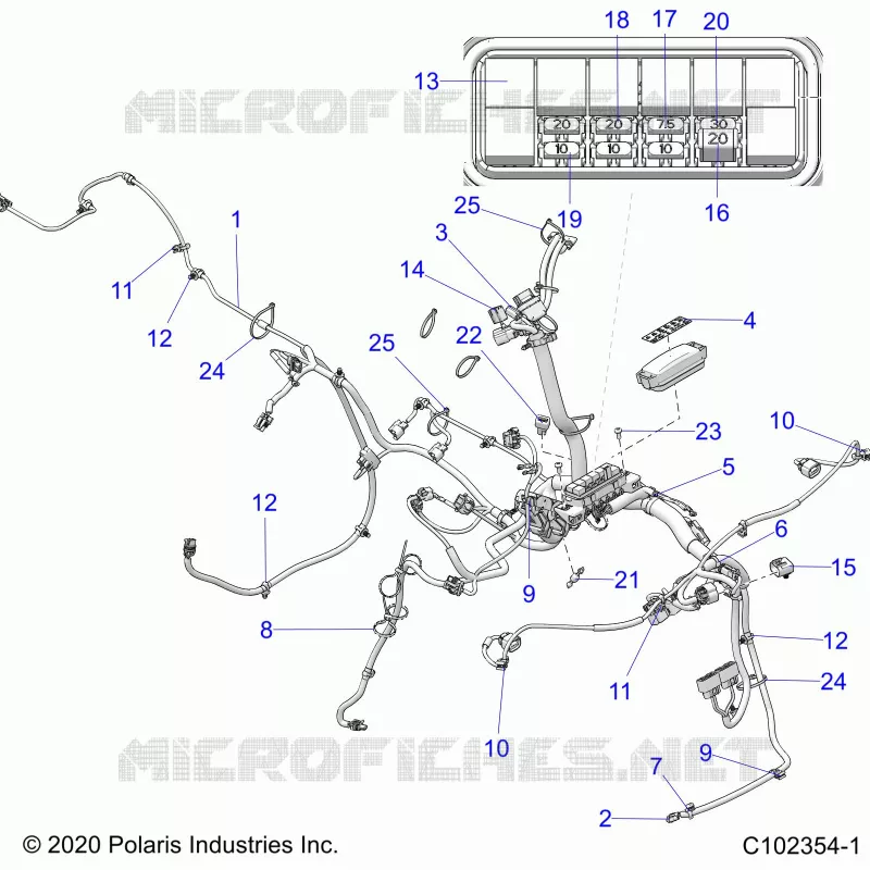 ELETTRICO, HARNESS