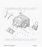 ENGINE, INTAKE INTAKE MANIFOLD, CORPO FARFALLATO, FUEL RAIL- Z24NMC99AM/BM (C702910)
