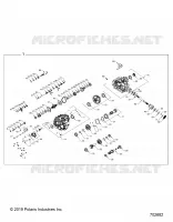 TRASMISSIONE, MAIN GEARCASE INTERNALS